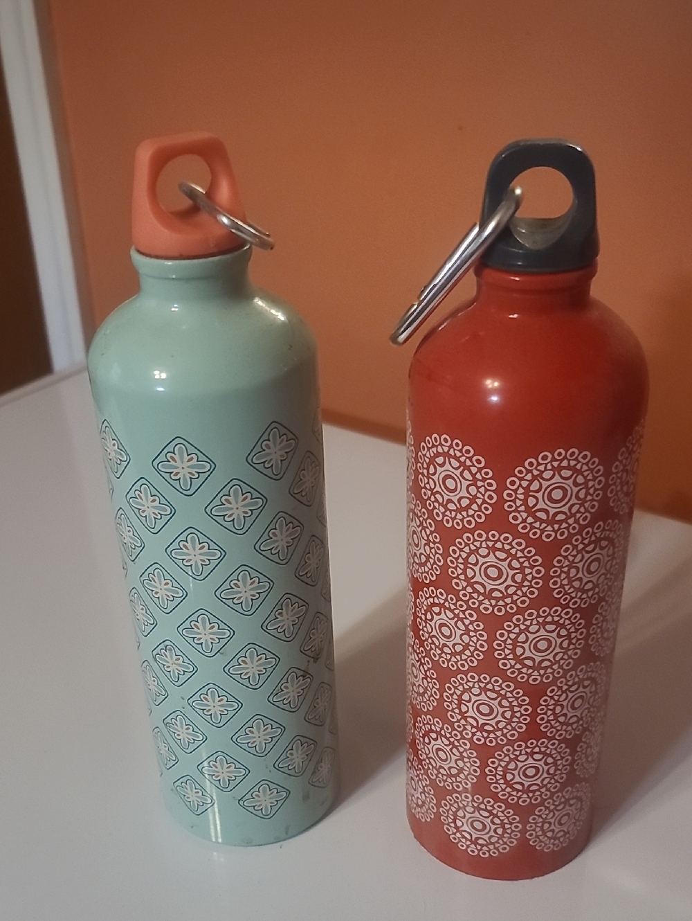 The Pioneer Woman Mint Green and Terracotta Patterned Stainless Water Bottles